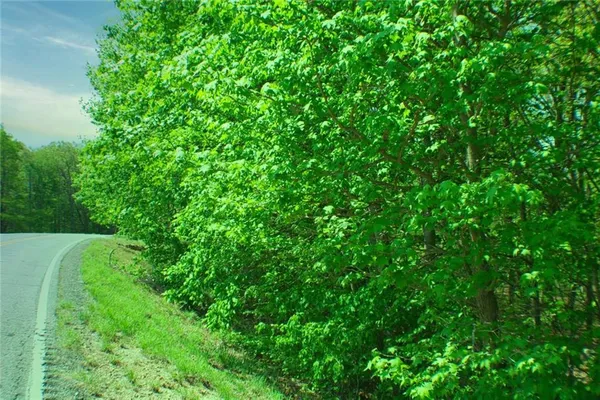 a view of a yard with plants and wooden fence