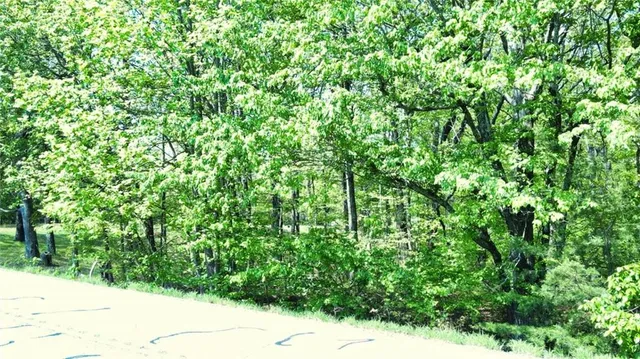 $254,000 | 0 157th Highway, Menlo, GA 30731