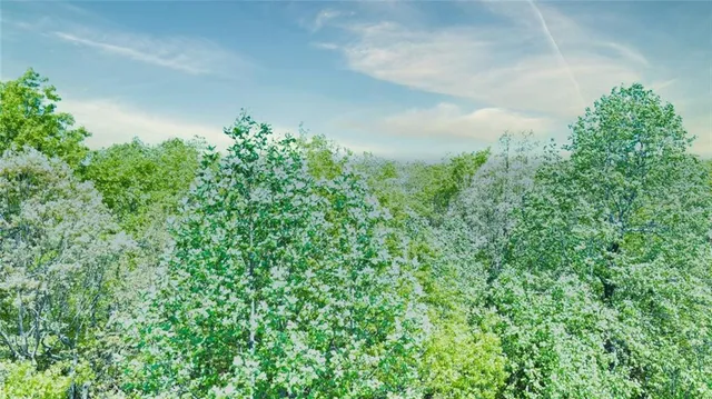 $254,000 | 0 157th Highway, Menlo, GA 30731