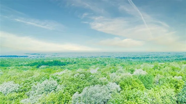 $254,000 | 0 157th Highway, Menlo, GA 30731