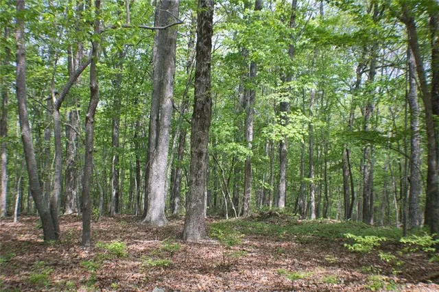 a view of outdoor space and green space