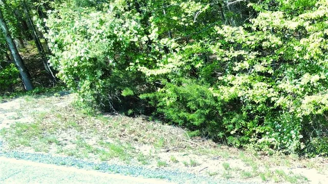 a view of a yard with plants and tree