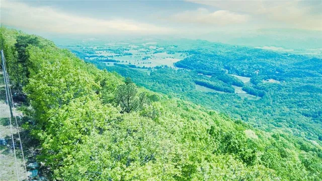 an aerial view of residential houses with outdoor space and trees all around