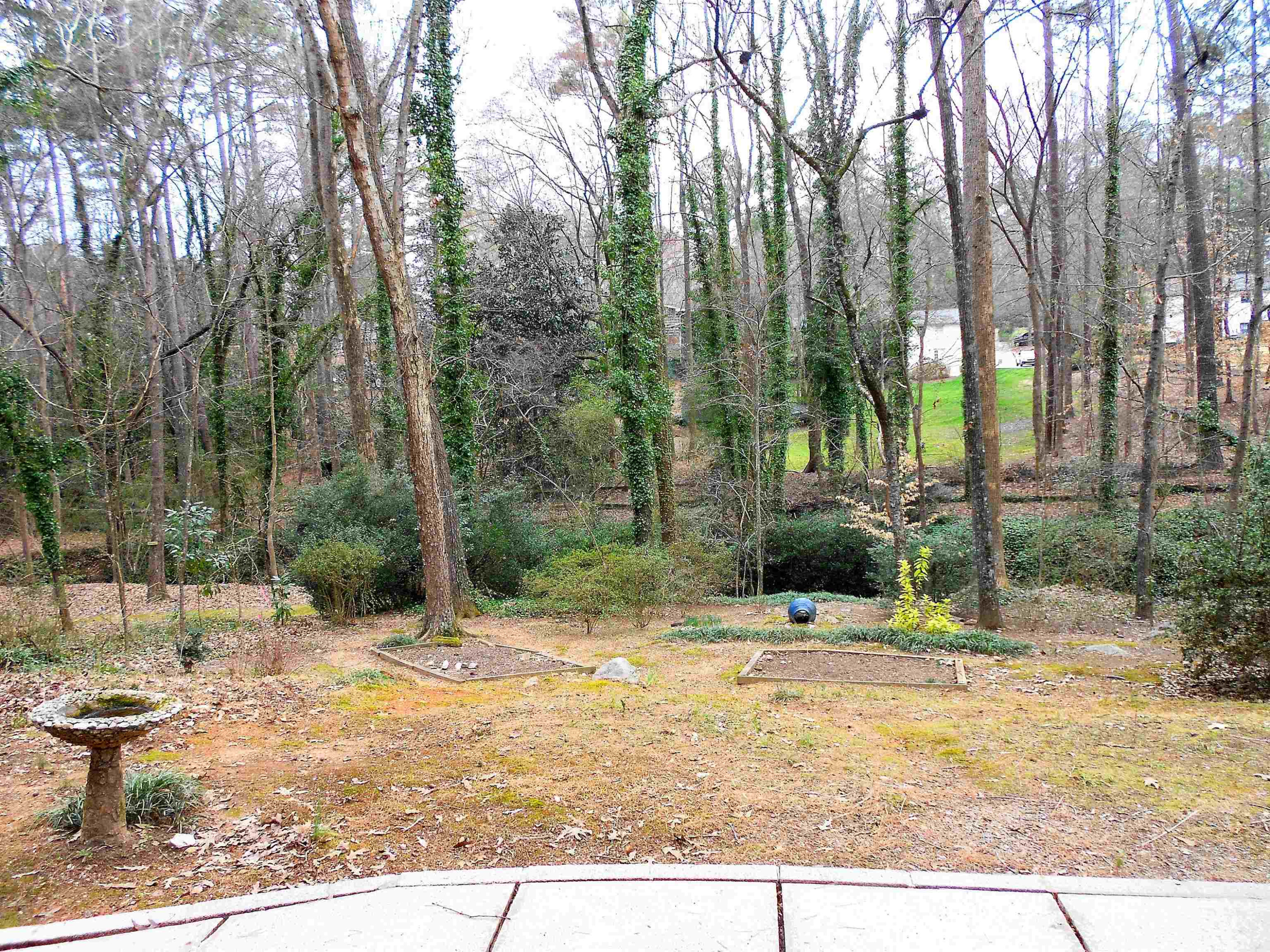 5805 Contour Drive Raleigh, NC 27612 - Photo 17 of 49 Back Yard