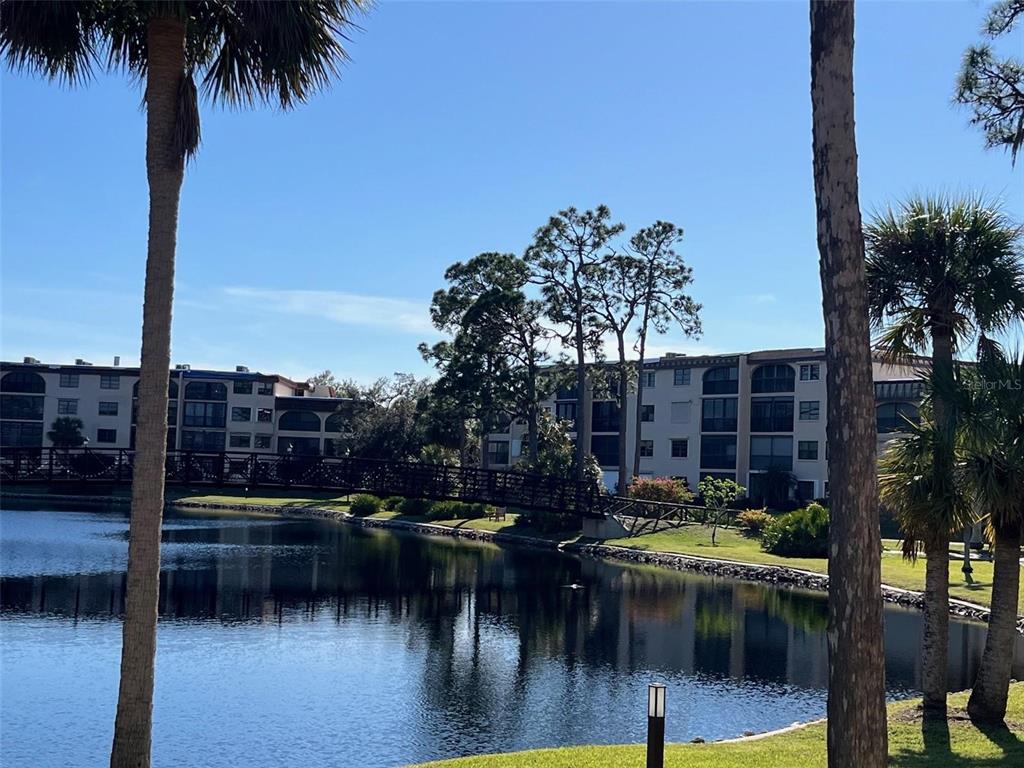 23465 Harbor View Road, Unit 1006 Punta Gorda, FL 33980 - Photo 3 of 41 a view of river covered with tall trees
