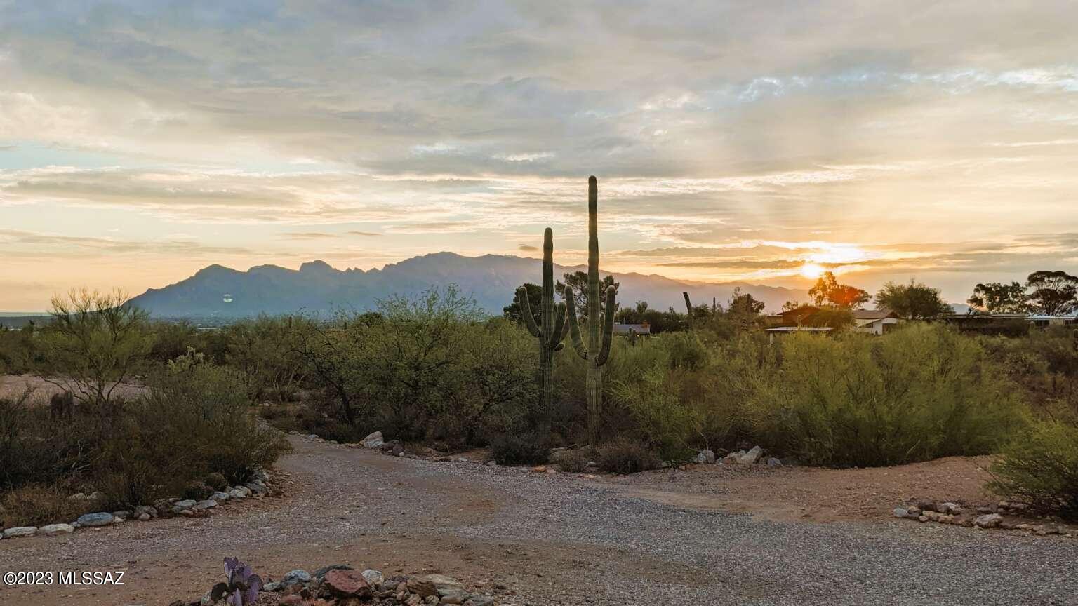 2941 West Goret Road Tucson, AZ 85745 - Photo 3 of 50 Gallery Image 3