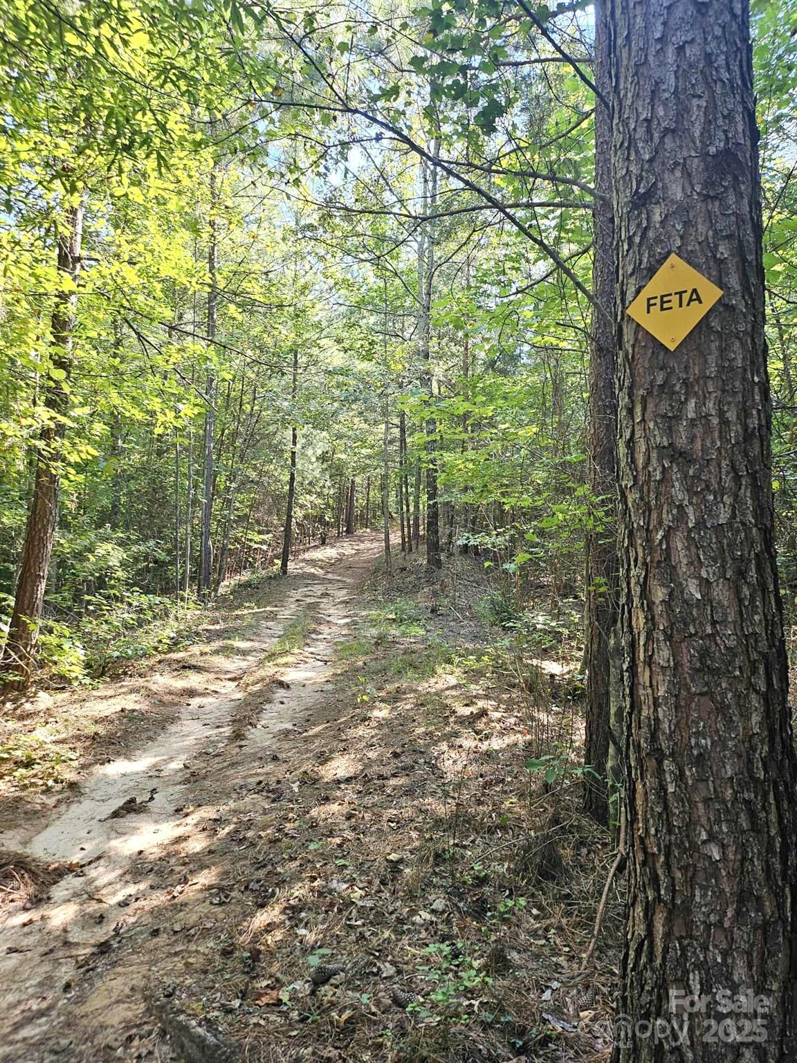 3744 Hunting Country Road Tryon, NC 28782 - Photo 34 of 34 a view of a pathway both side of yard