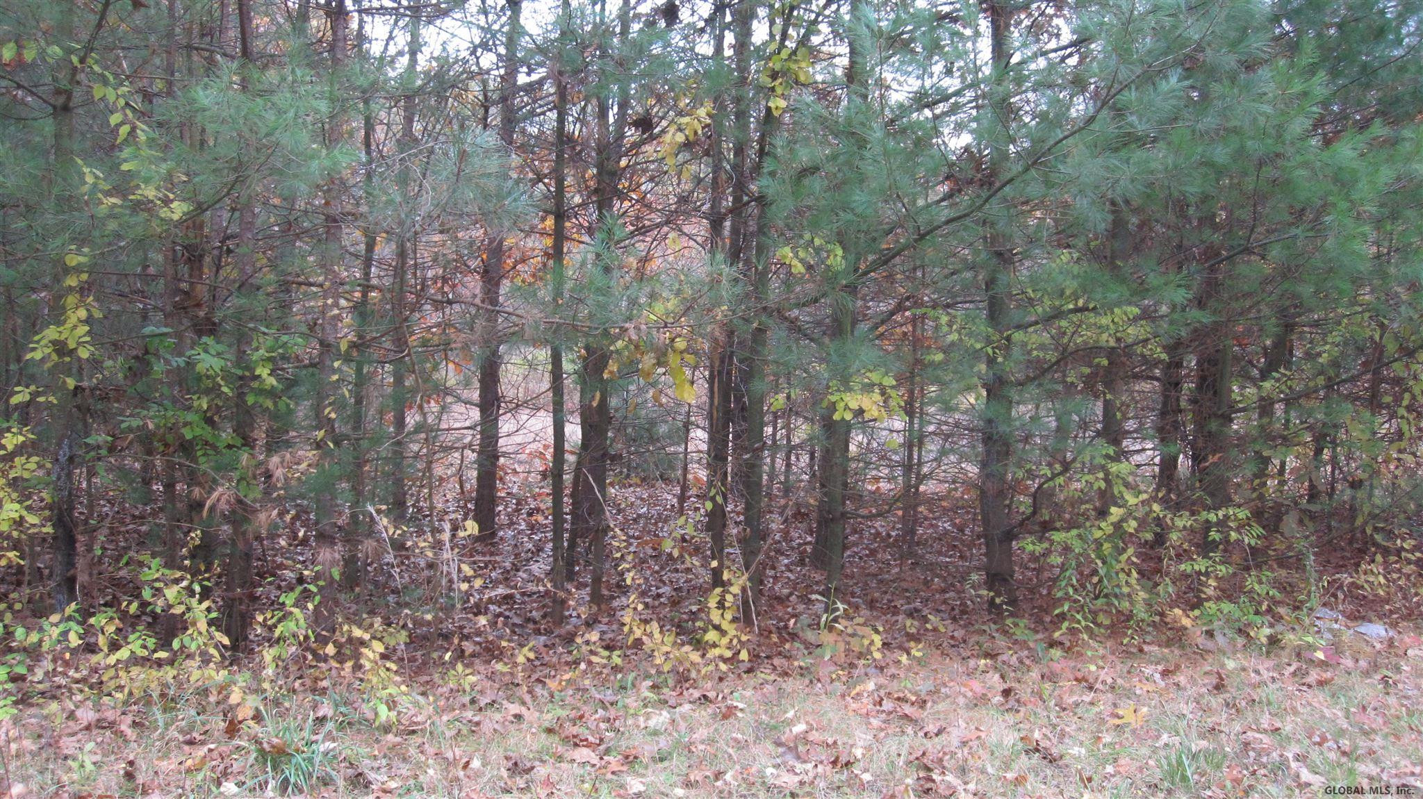 142 Lot Road Mechanicville, NY 12118 - Photo 2 of 4 Photo 2