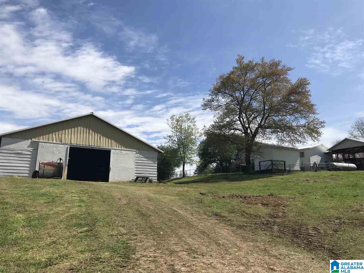 1241 Reneau Road Oneonta, AL 35121 - Photo 44 of 50