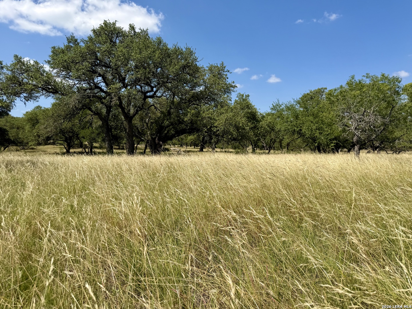 43-acres Sattler Road Spring Branch, TX 78070 - Photo 41 of 42 Gallery Image 41