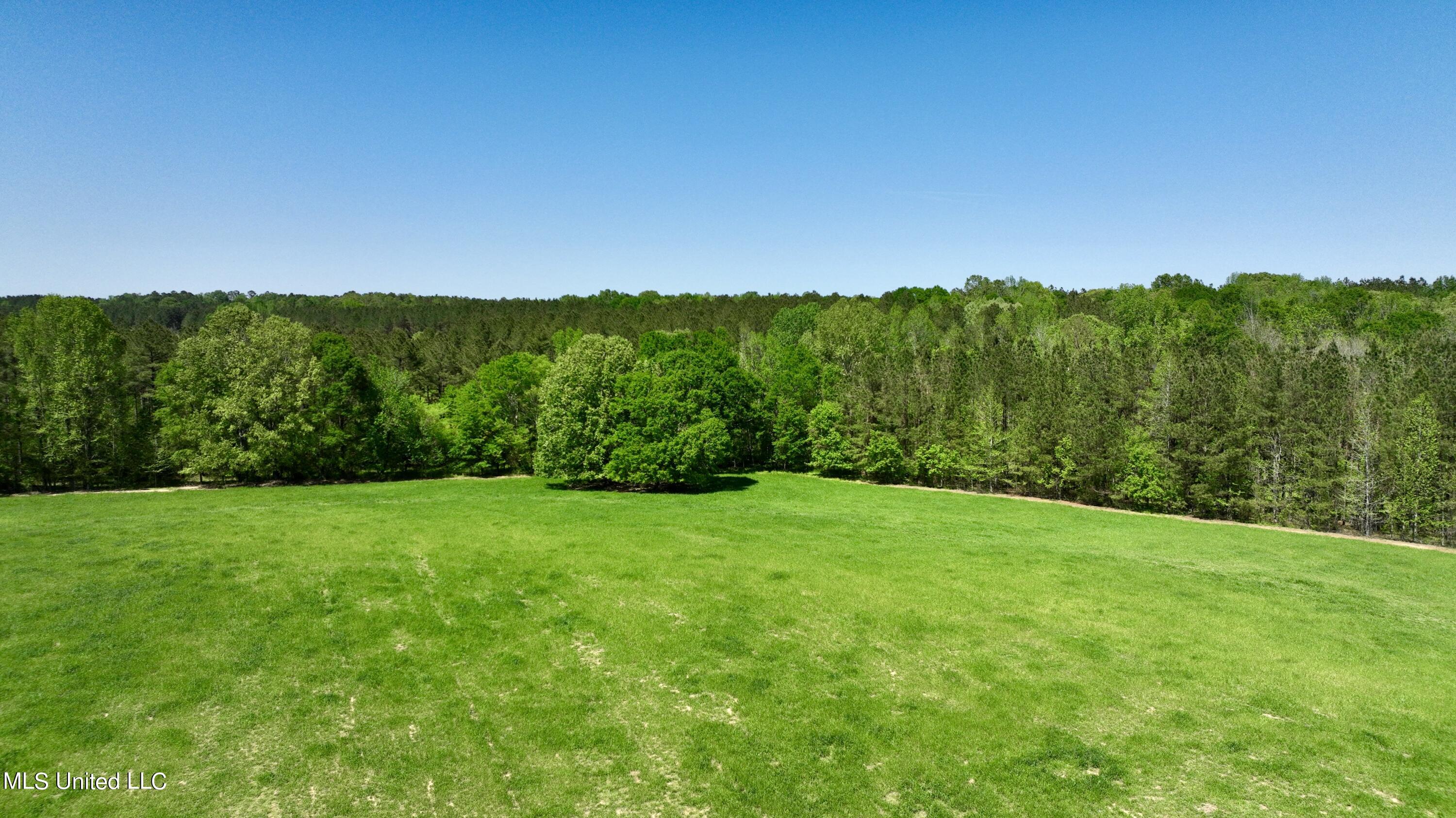 6 Johnson Line Road Bolton, MS 39041 - Photo 5 of 8 Photo_1080295978_DJI_554_jpg_11077440_0_
