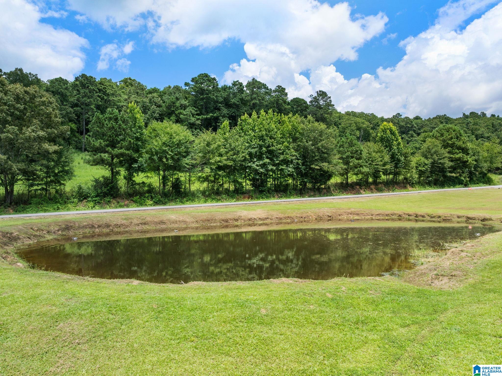 362 Teem Road Cullman, AL 35057 - Photo 62 of 70