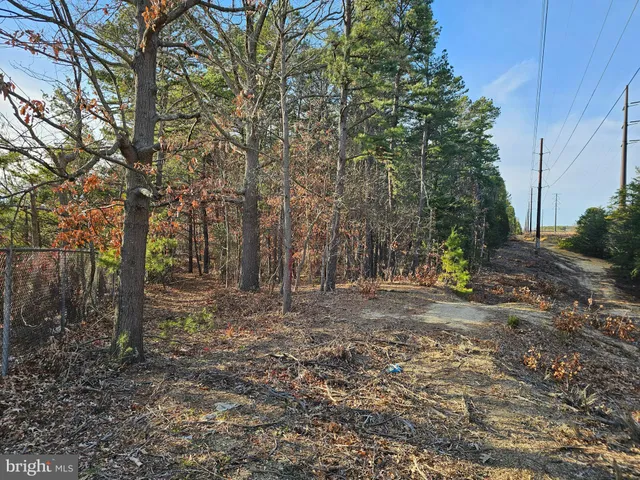 a view of a yard with trees