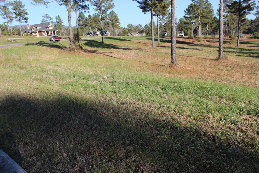 141 Bob White Road Ocoee, TN 37361 - Photo 3 of 13 Gallery Image 3