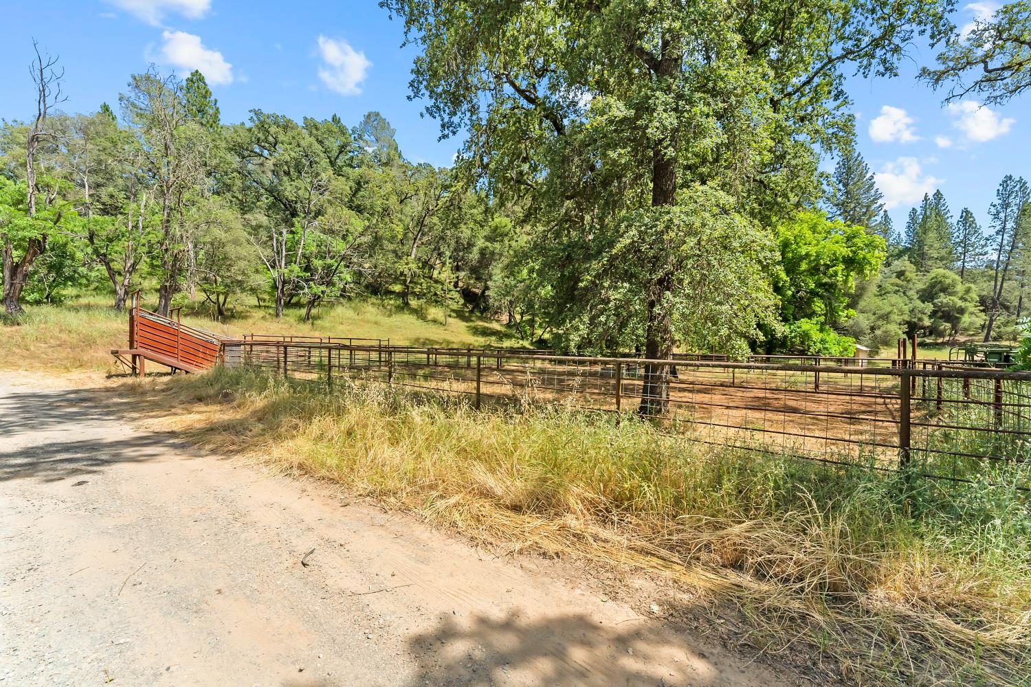 12850 Fiddletown Road Plymouth, CA 95669 - Photo 8 of 88 Corrals off Fiddletown road