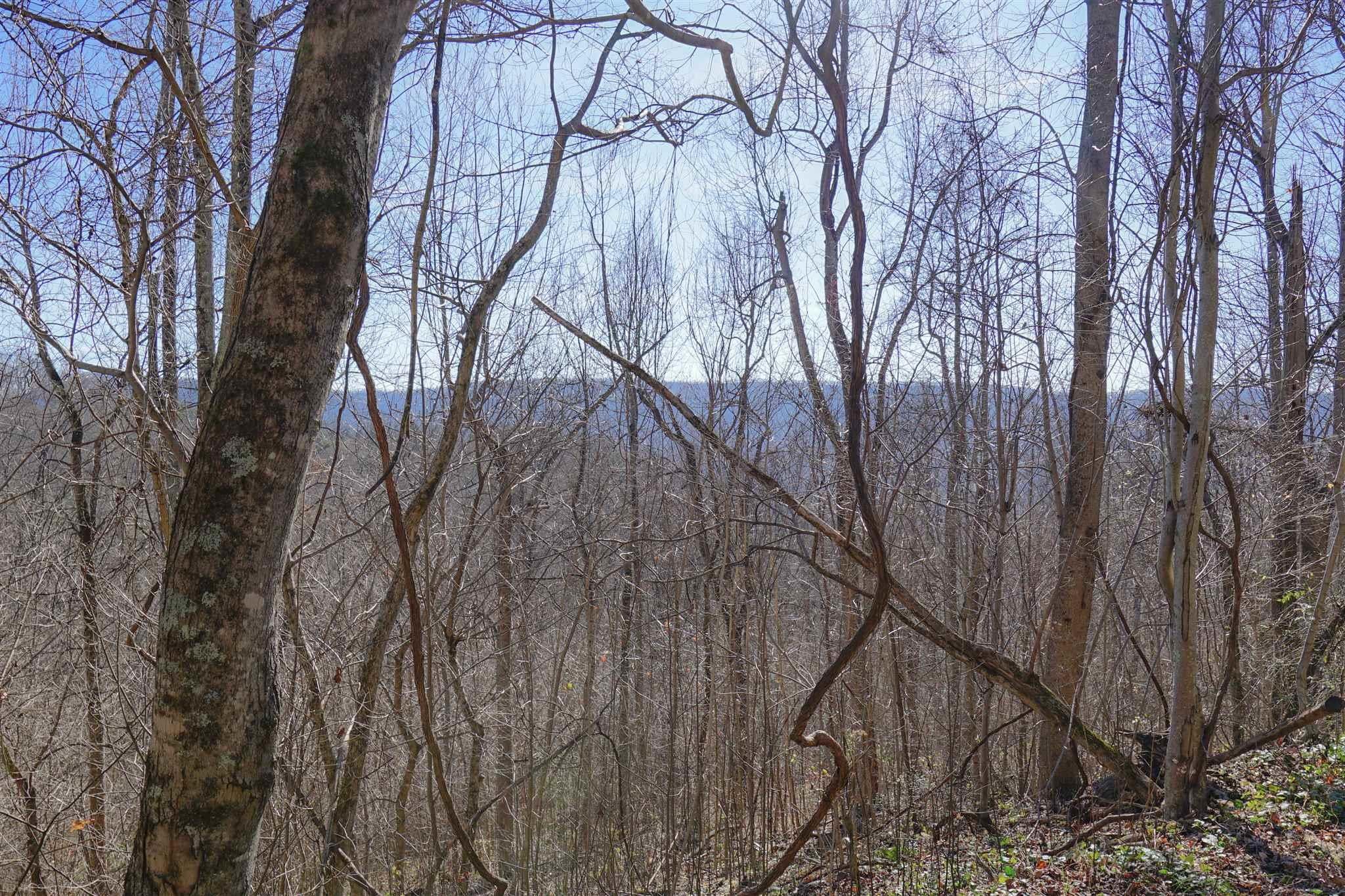 High Noon Road Pembroke, VA 24136 - Photo 6 of 19 Gallery Image 6