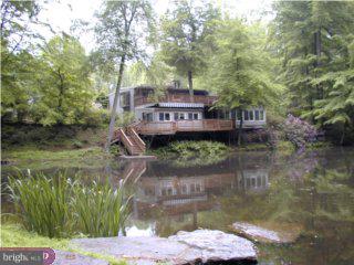 7065 Ely Road New Hope, PA 18938 - Photo 5 of 6