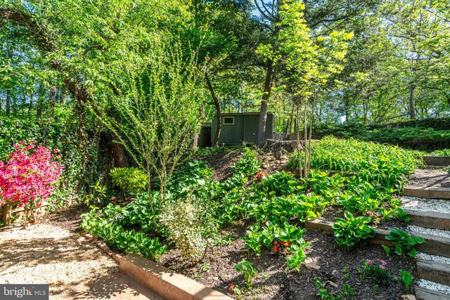 a backyard of a house with lots of green space and trees all around