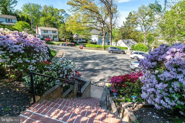 a view of a garden with flowers
