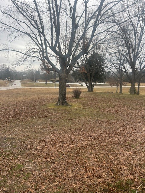 208 Oakdale Road Camden, TN 38320 - Photo 21 of 27