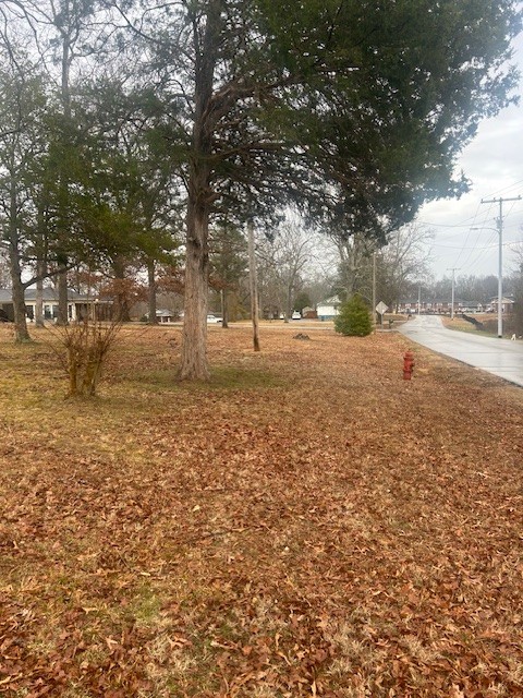 208 Oakdale Road Camden, TN 38320 - Photo 24 of 27