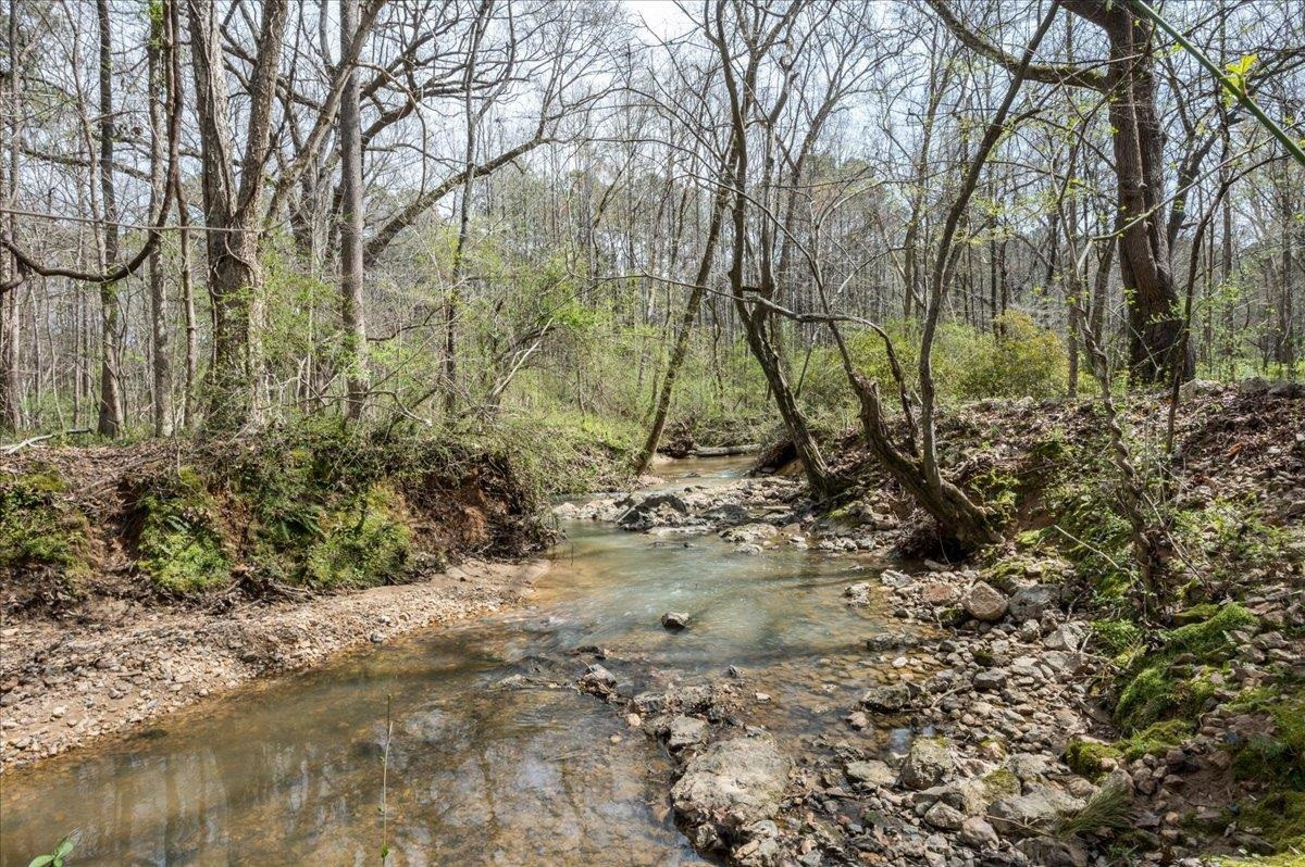 10117 Chambers Road Raleigh, NC 27603 - Photo 22 of 31 Photo 22