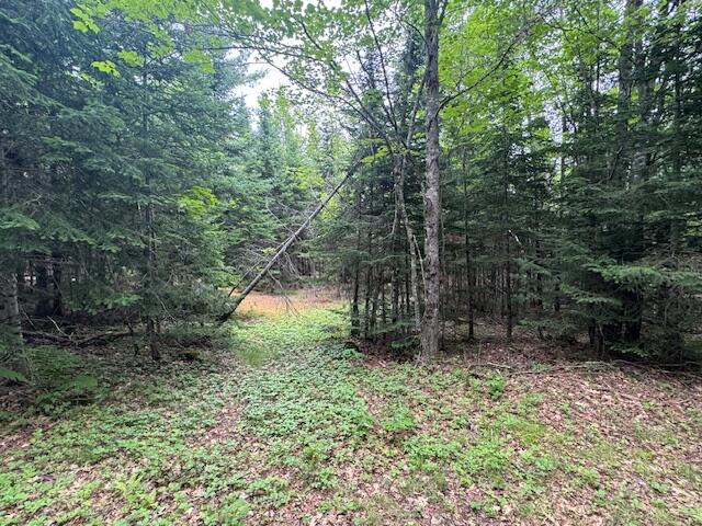 1 South Ridge Road Palmyra, ME 04965 - Photo 5 of 8 IMG_0194