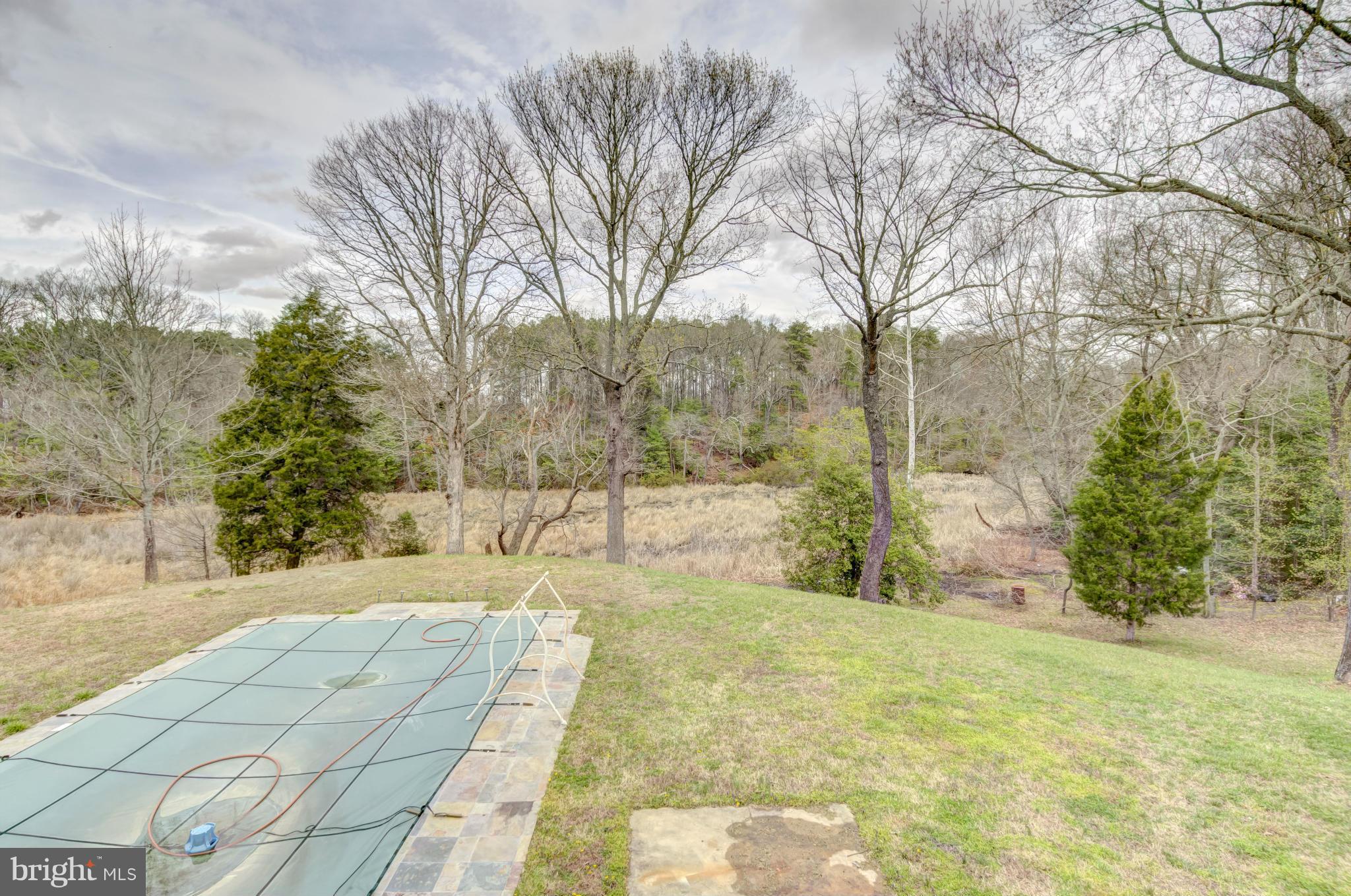 3381 Carroll Road Huntingtown, MD 20639 - Photo 4 of 30 a view of a yard with trees