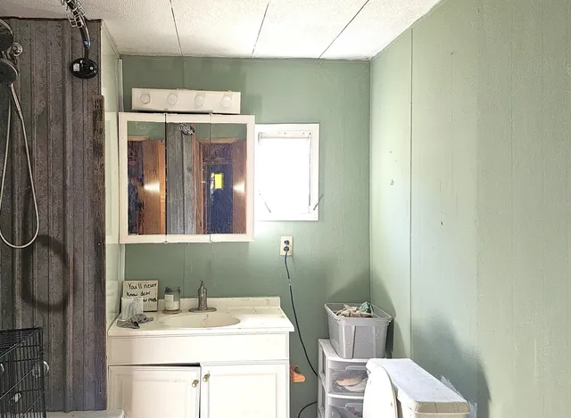 a view of a garden with a plant