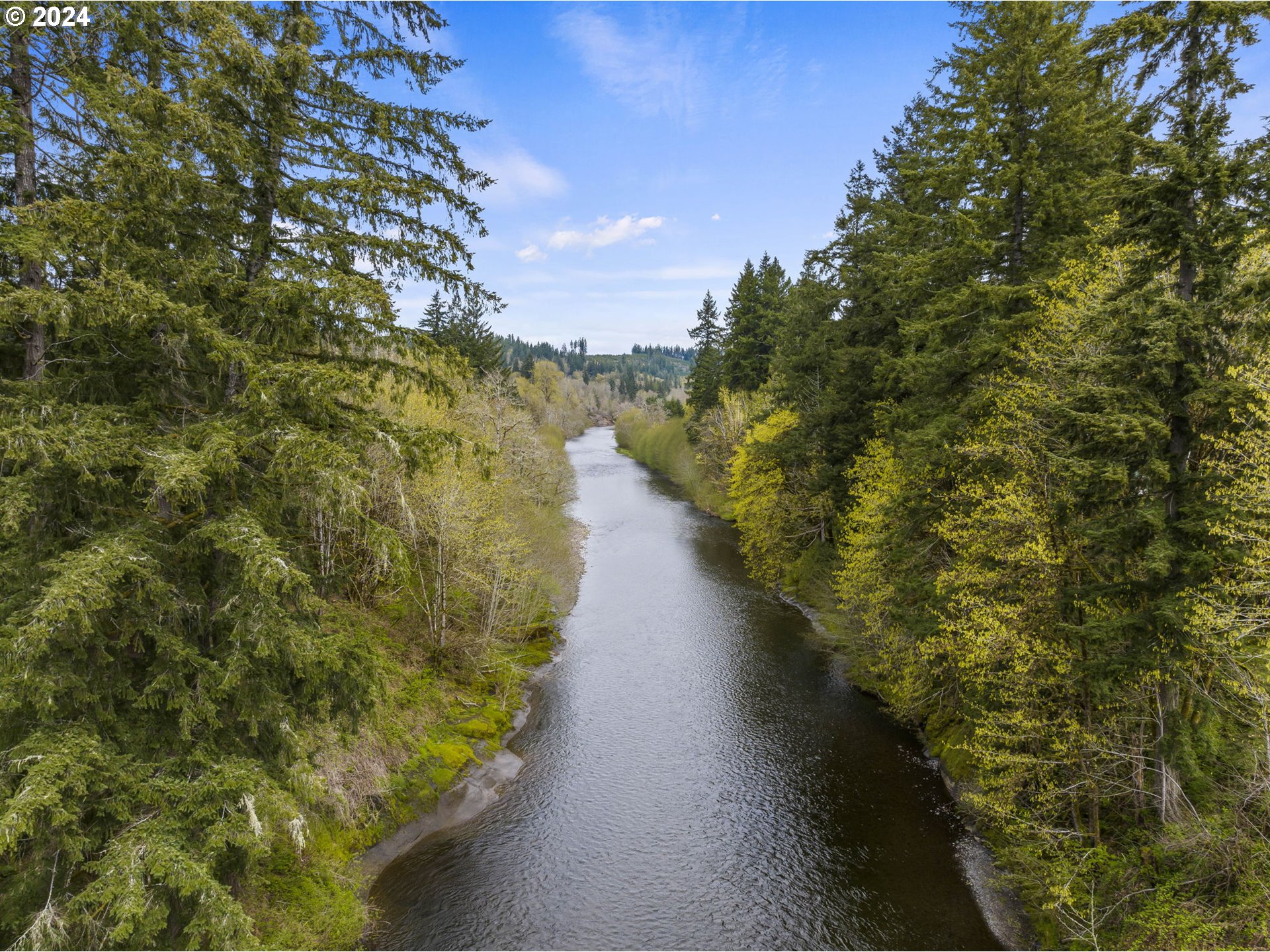 121 Jones Road Pe Ell, WA 98572 - Photo 29 of 31 Gallery Image 29