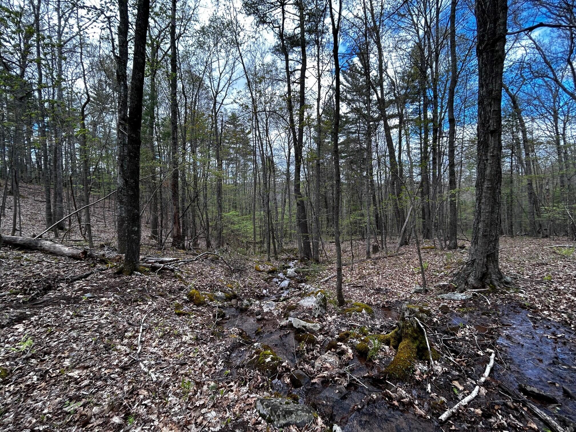 Wolf Hills Road Gap Mills, WV 24941 - Photo 12 of 15 Gallery Image 12