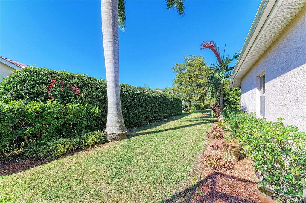 5060 Robinsong Road Sarasota, FL 34233 - Photo 41 of 42 a view of a yard with plants