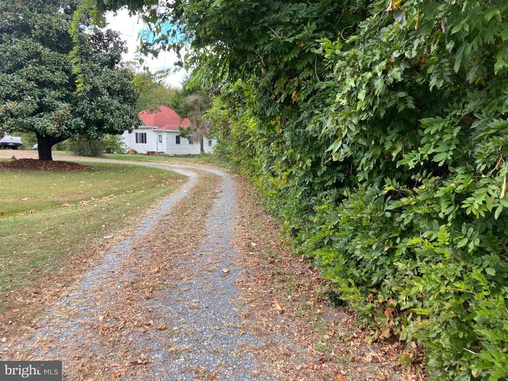 4805 Bicknell Road Marbury, MD 20658 - Photo 10 of 10 Charming gravel drive through lush greenery.