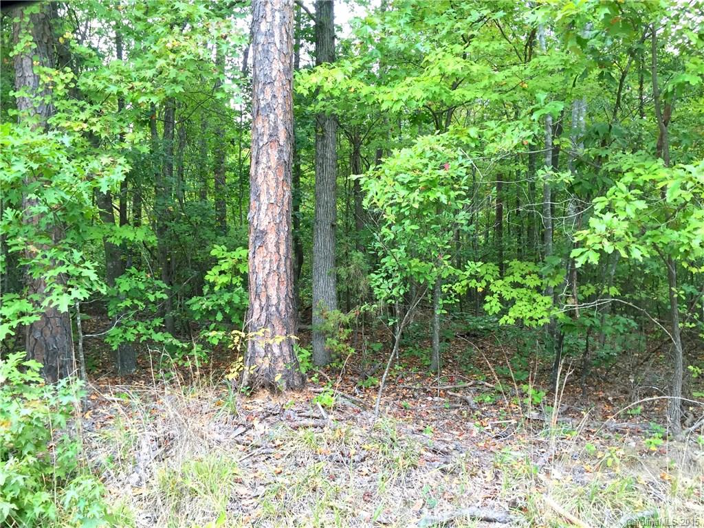 2973 Jim McCarter Road York, SC 29745 - Photo 4 of 10 Gallery Image 4