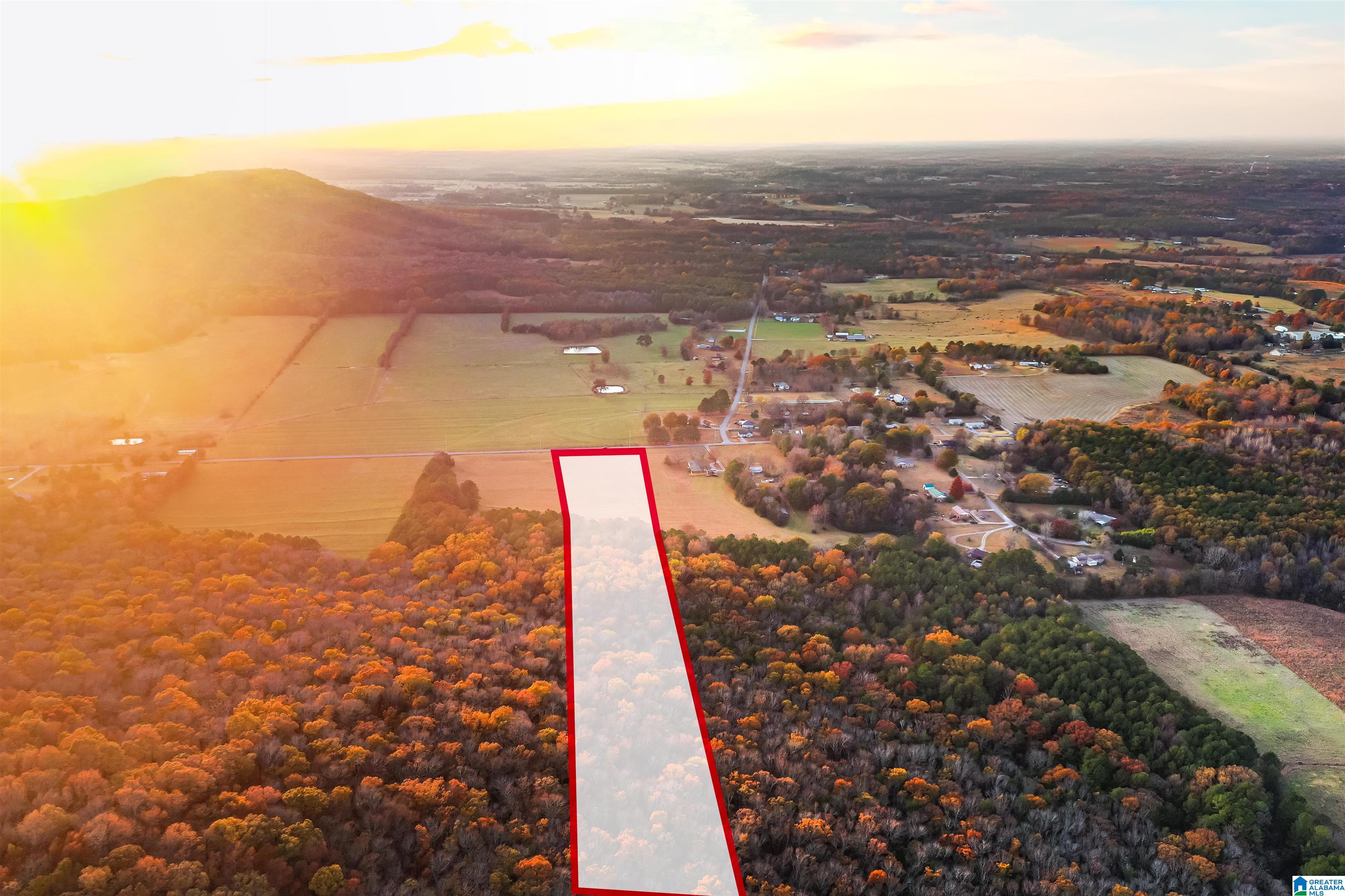 0 Old Six Mile Road, Unit 103 Somerville, AL 35670 - Photo 15 of 17