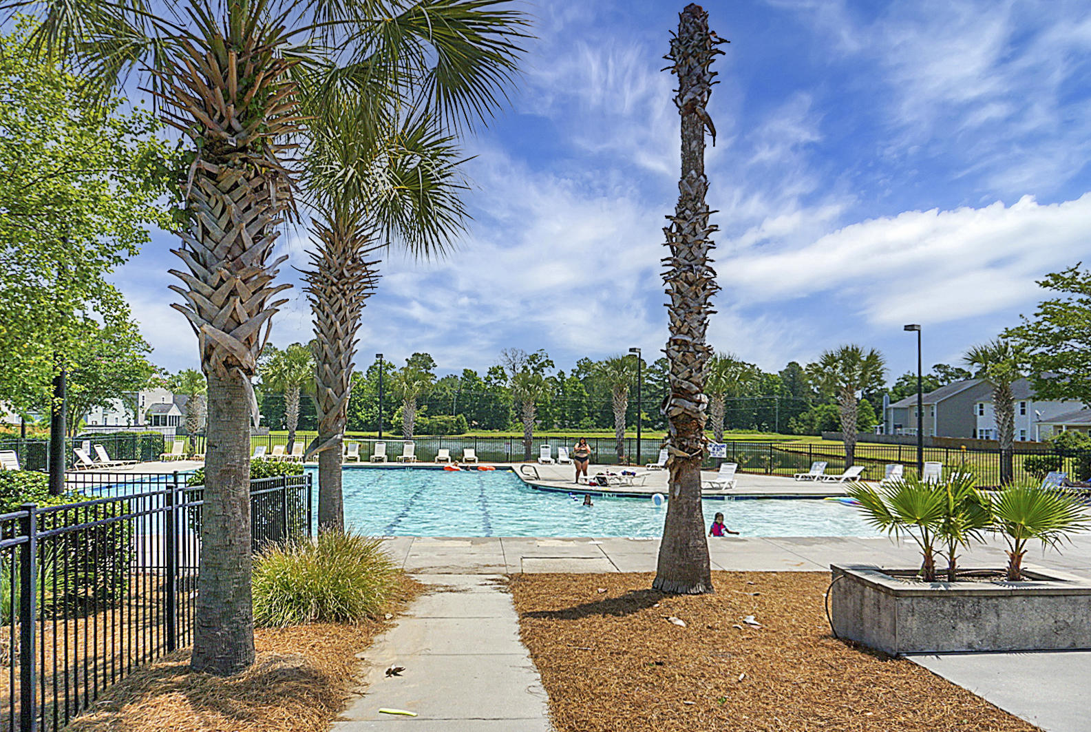 4022 Exploration Road Ladson, SC 29456 - Photo 45 of 47 Pool