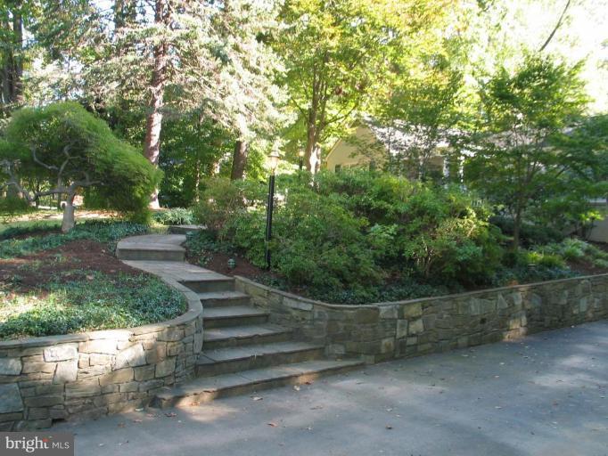 1341 Pine Tree Road McLean, VA 22101 - Photo 11 of 12 Garden #2