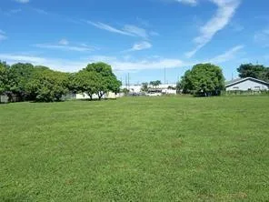 a view of a grassy field with an trees