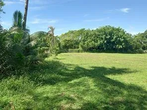 a view of field with trees in the background