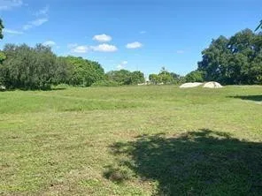 a view of an ocean from a yard
