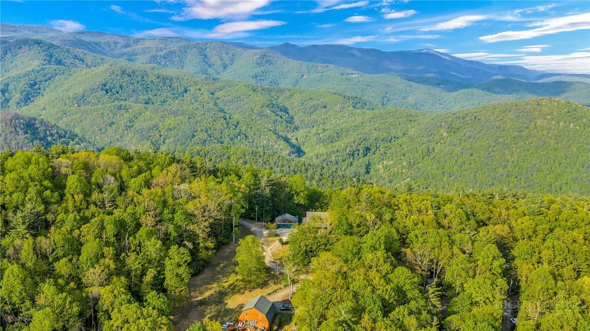 1600 Timber Ridge Road Millers Creek, NC 28651 - Photo 5 of 49