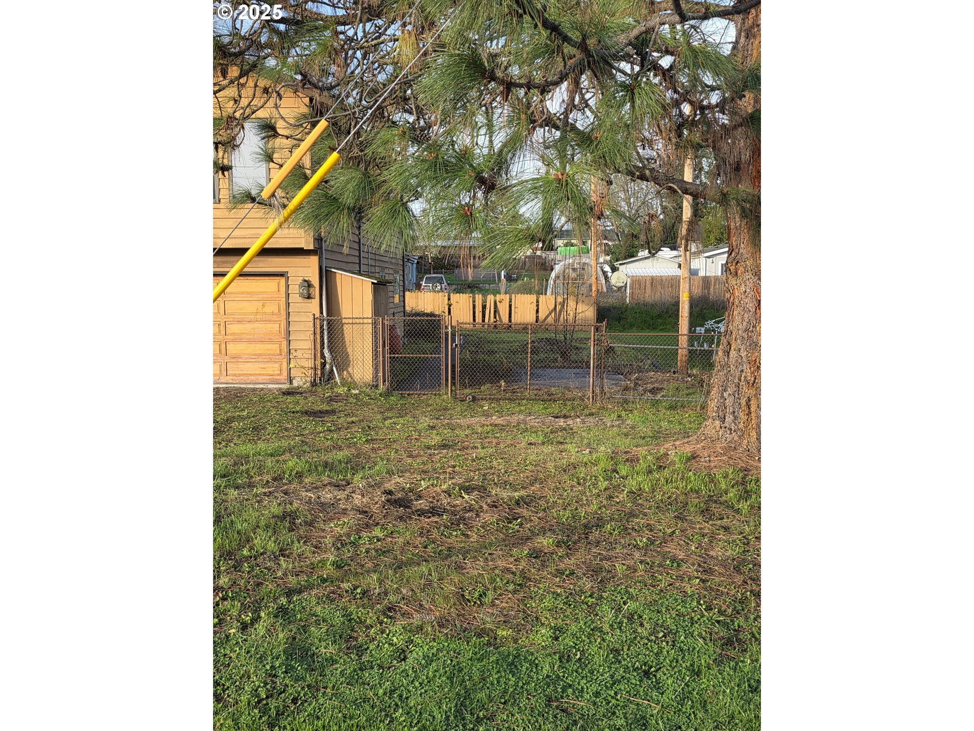 291 Southeast Shigley Street Winston, OR 97496 - Photo 5 of 27 a backyard of a house with lots of green space