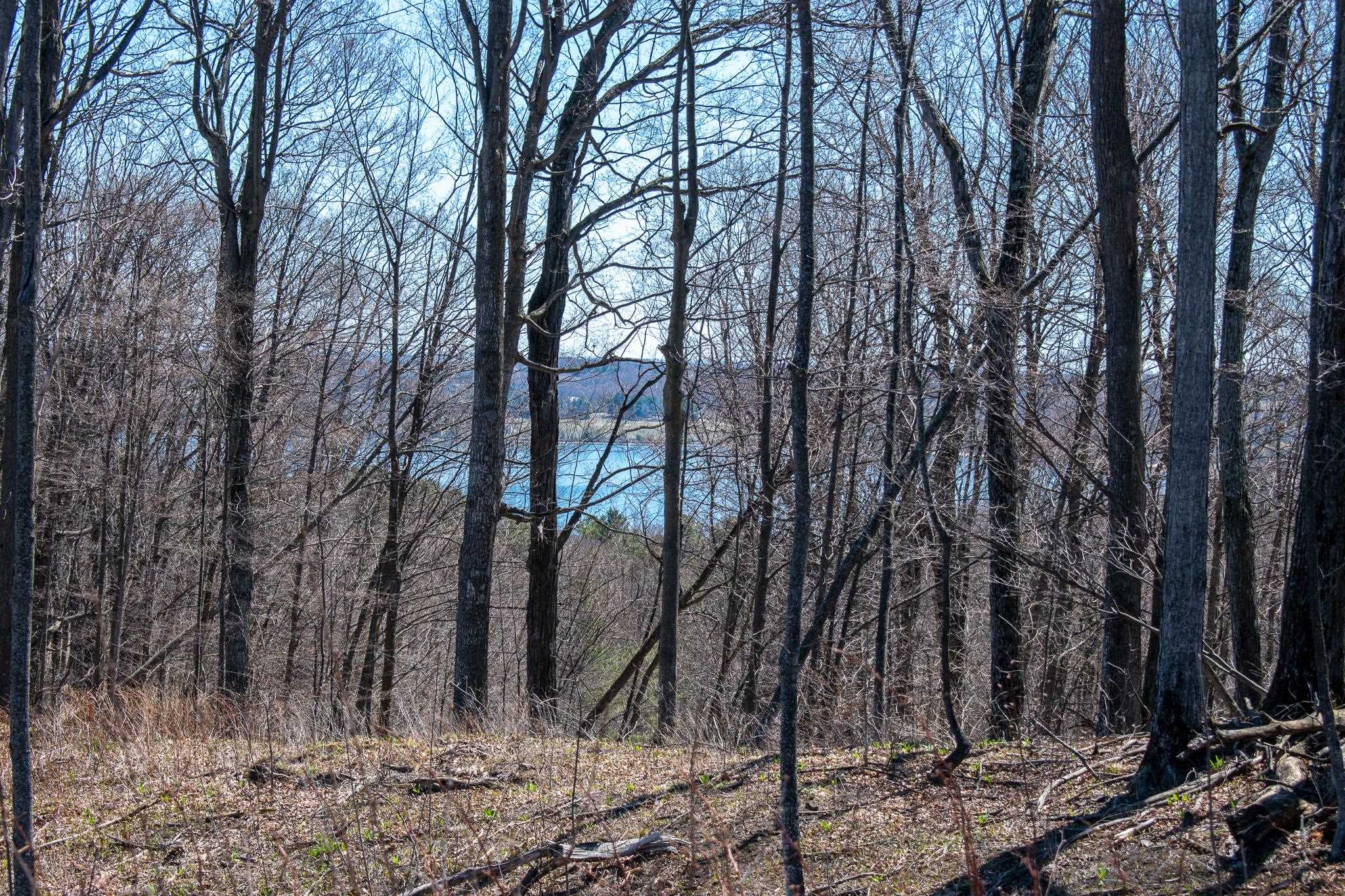 0 East Smiseth Road Suttons Bay, MI 49682 - Photo 22 of 67