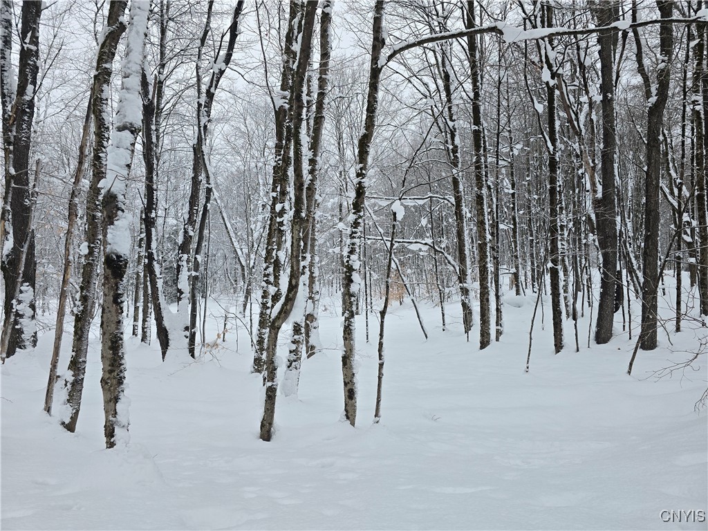 Mill Road Taberg, NY 13471 - Photo 2 of 5