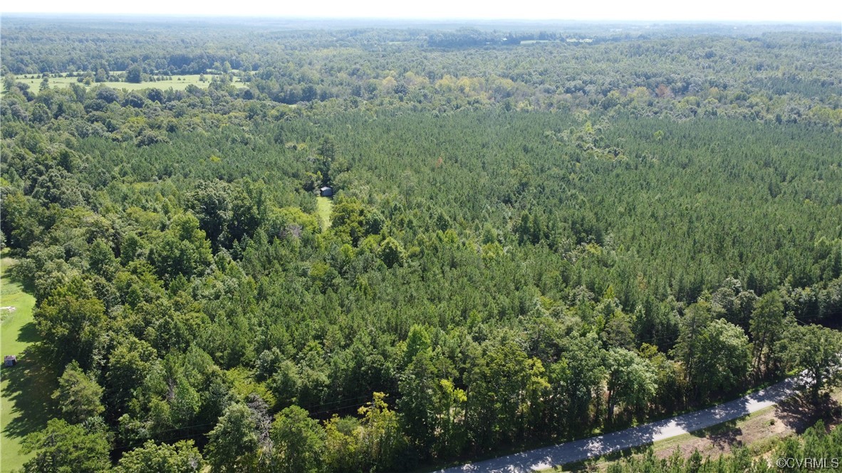 13.67-acres Winningham Road Crewe, VA 23930 - Photo 12 of 15