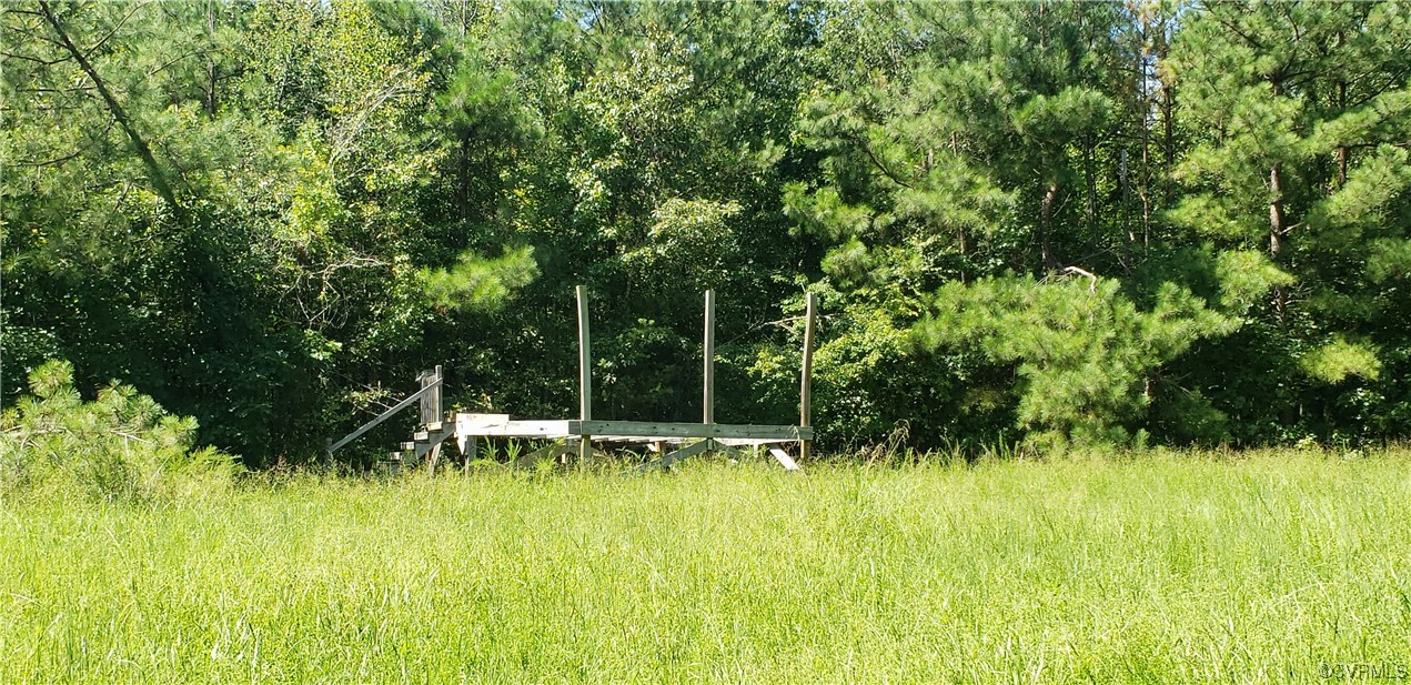 13.67-acres Winningham Road Crewe, VA 23930 - Photo 3 of 15 a view of house with a big yard and large trees