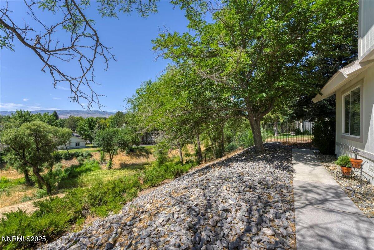 1161 Rayburn Drive Reno, NV 89503 - Photo 3 of 37 a view of a yard with plants and large trees