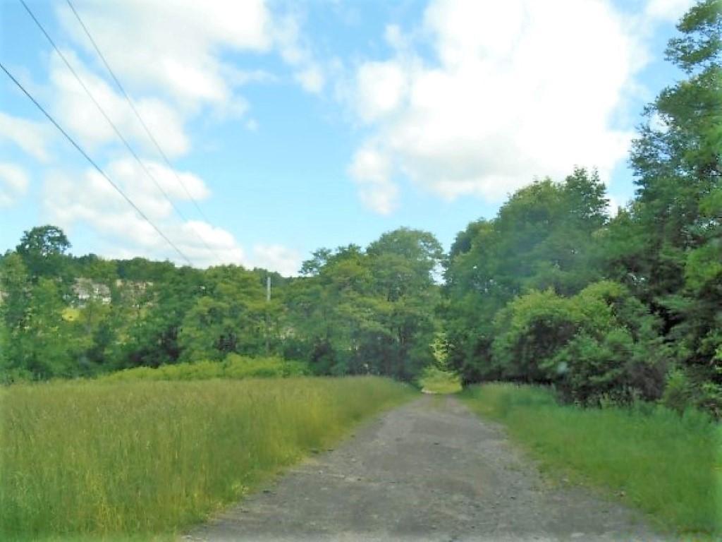 330 Page Brook Road Whitney Point, NY 13862 - Photo 7 of 14