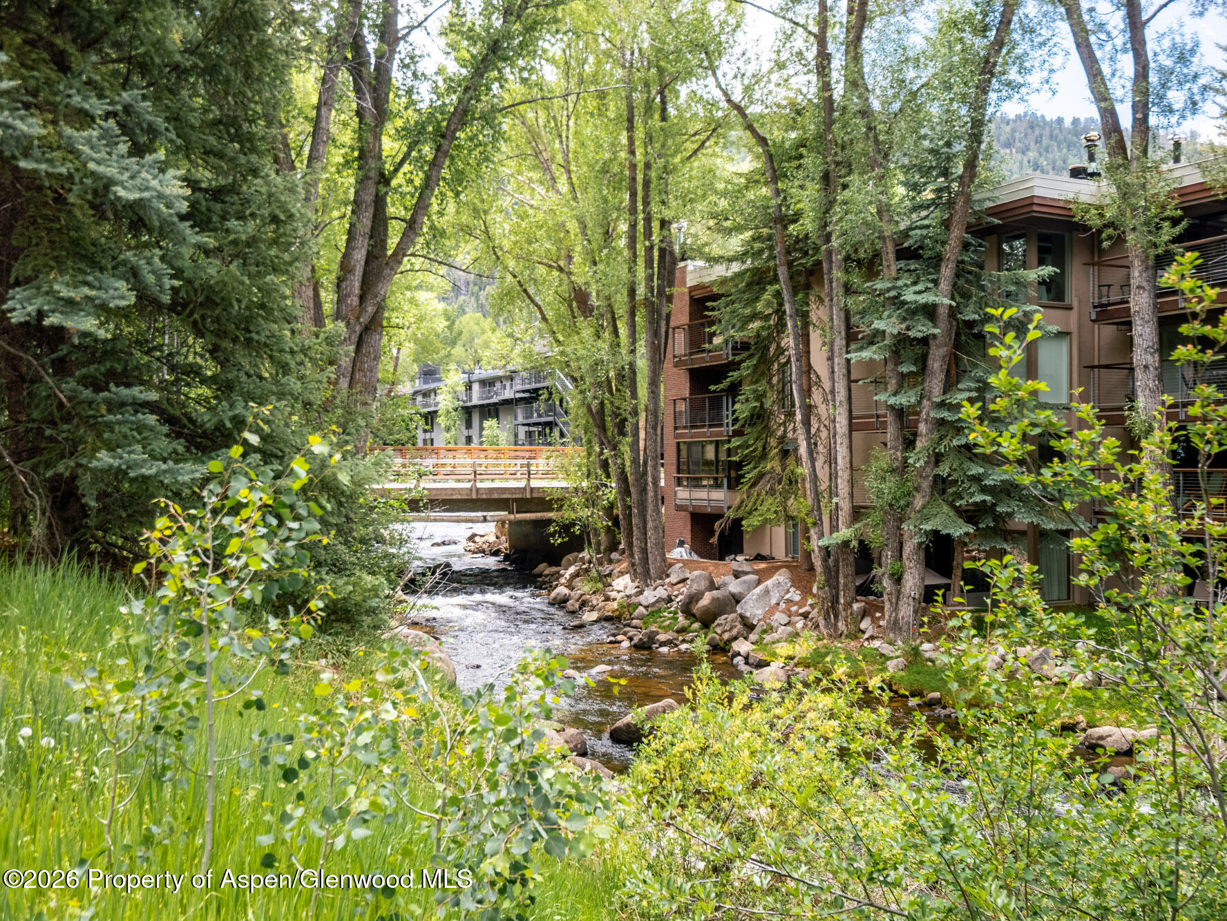 314 North Riverside Avenue, Unit 2 Aspen, CO 81611 - Photo 29 of 32 Riverfront