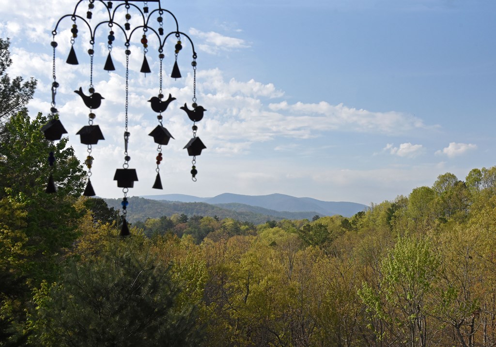 77 Walhala Trail Blue Ridge, GA 30513 - Photo 2 of 51 Gallery Image 2